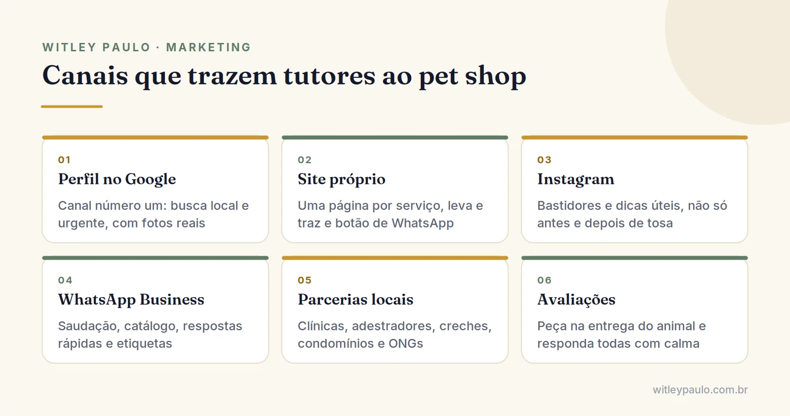 Grade com os canais do marketing para pet shop: Perfil no Google, site, Instagram, WhatsApp, parcerias e avaliações